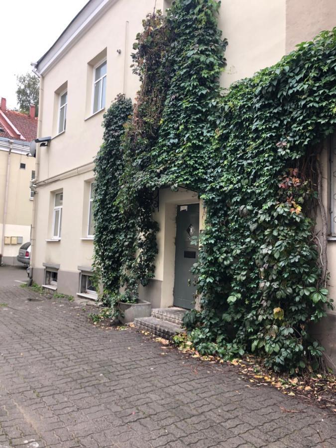 Angel House Vilnius, Dysnos Apartment Luaran gambar